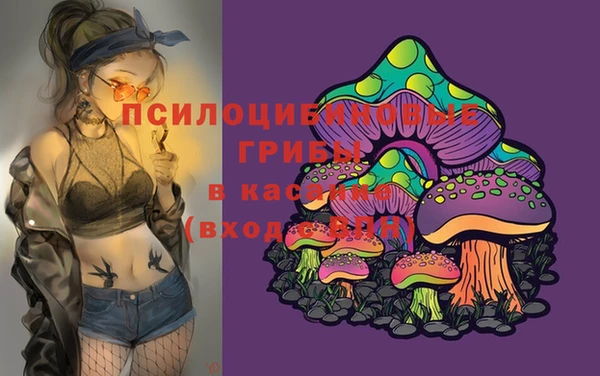мяу мяу мука Армянск